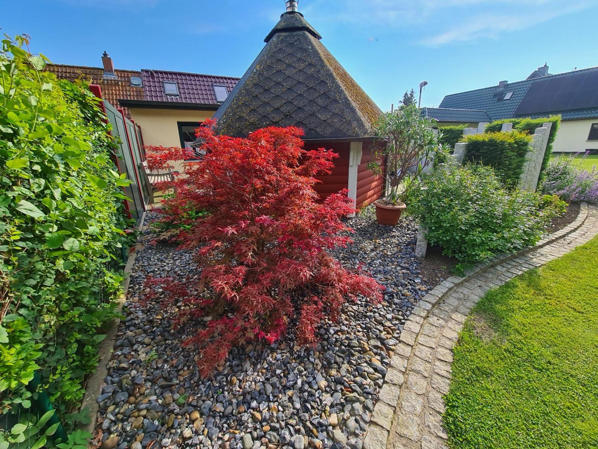 Ferienhaus Saupe Шапроде Екстериор снимка